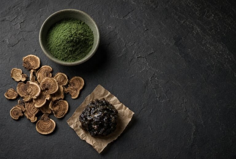 Dried reishi slices, spirulina powder and shilajit resin on slate