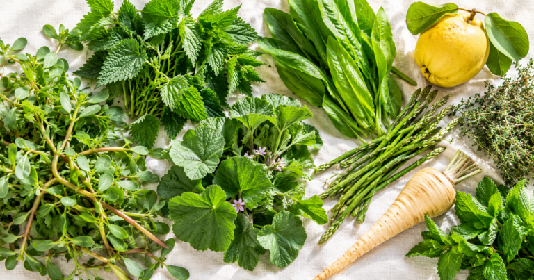 Purslane, nettle, mallow, sorrel, wild asparagus and quince on pale linen in daylight